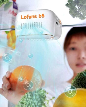 Lofans b5